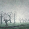 Boomgaard bij IJsselstein o o l 73 x 93 cm 2017