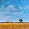 Landschap bij Vlagtwedde (Gr) 05 o o l 70x70cm 2006