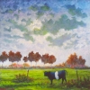 Landschap bij Vlagtwedde (Gr) 07 o o l 70x70cm 2006