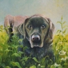 Portret van bas o o l 30x35cm 2007