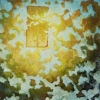 Ontsloten o o l 90x70cm 2006